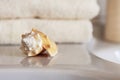 ÃÂ¡ockleshell and Bath white cotton towels, ceramic bottle on Blurred bathroom interior background with sink and faucet Royalty Free Stock Photo